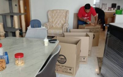 Movers and Packers vs. Lorry-Only Service: What’s the Difference?